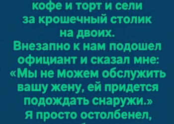 Мы с женой зашли в ресторан совершенно случайно.